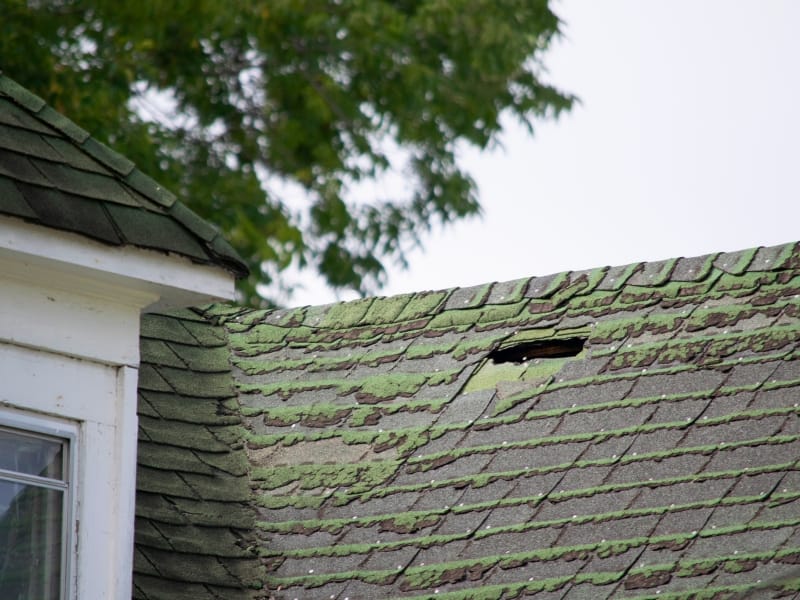 Image of a roof top with moss growing on the shingles.