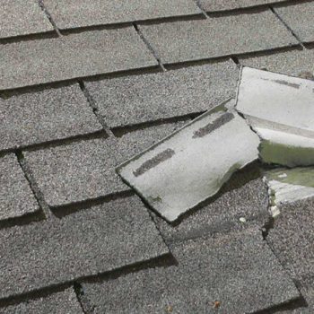 Which Roofing Materials Withstand High Winds the Best In Florida?