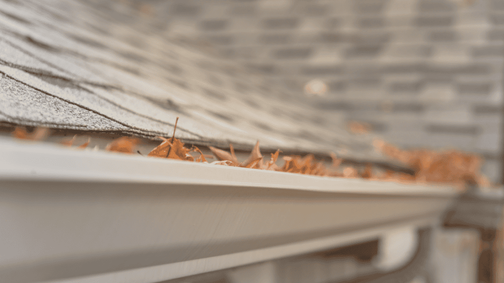 leaves in gutters