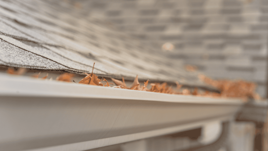 leaves in gutters