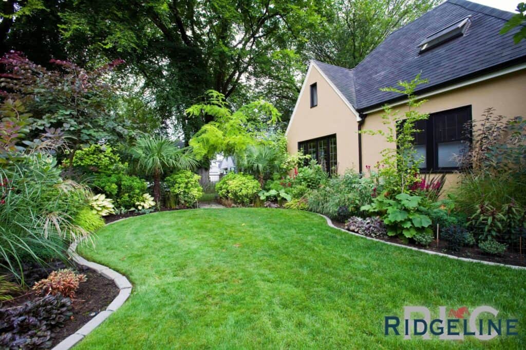 a well managed and landscaped backyard