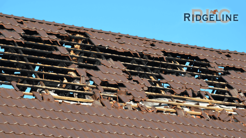 wind damaged metal roof