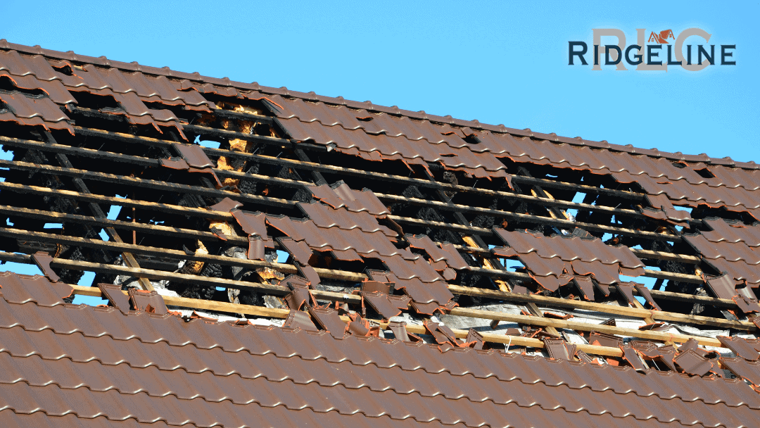 wind damaged metal roof