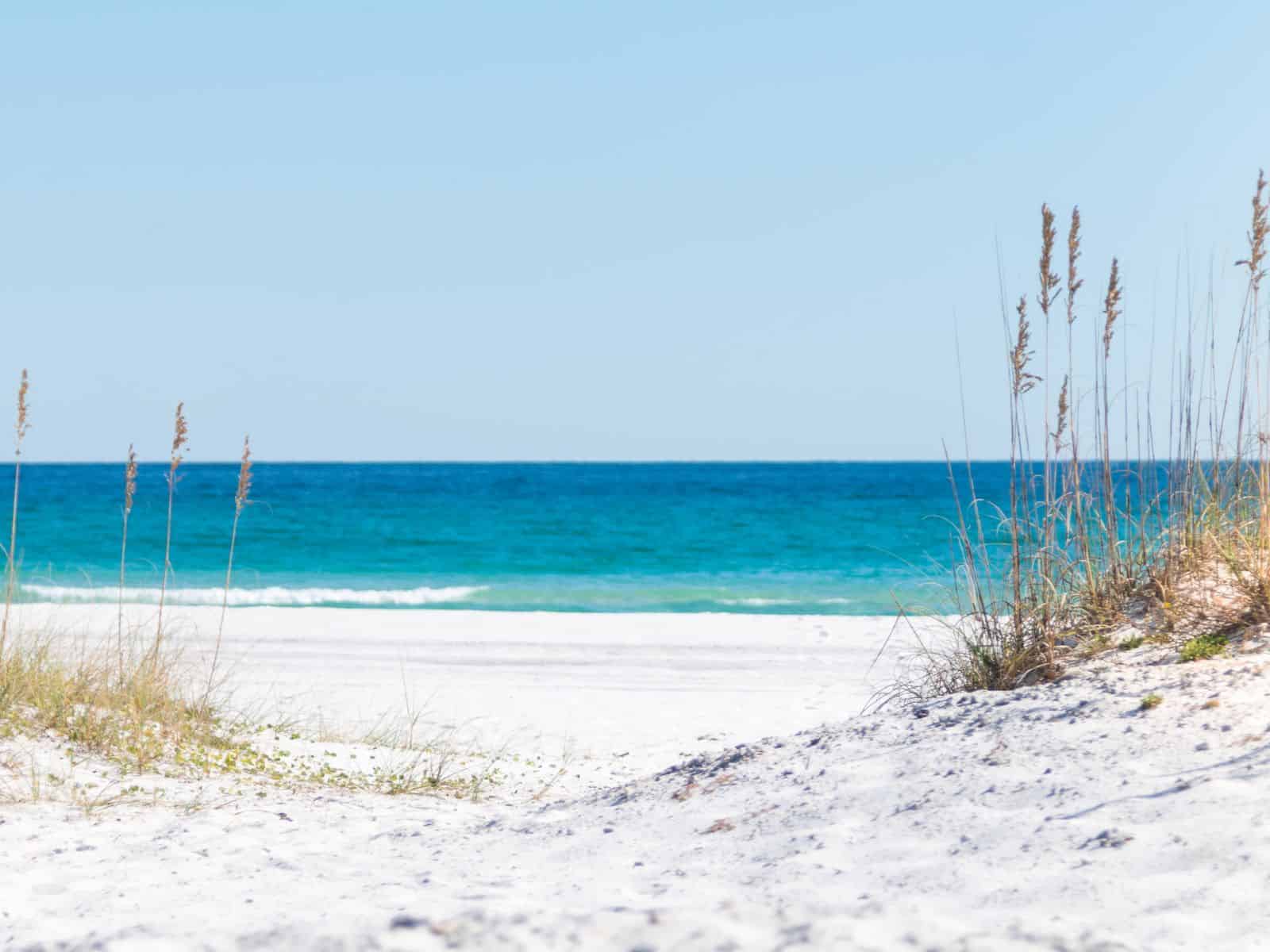 view of the beach with blue waters near East Lake Florida